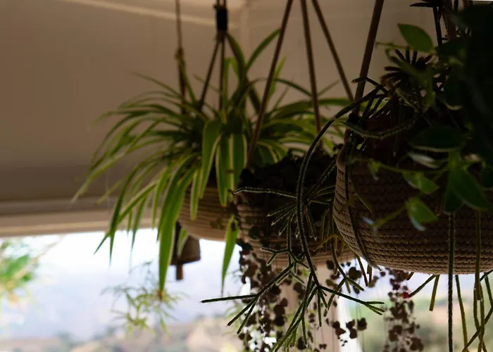 Guest house Varandas Do Vale Furnazinhas