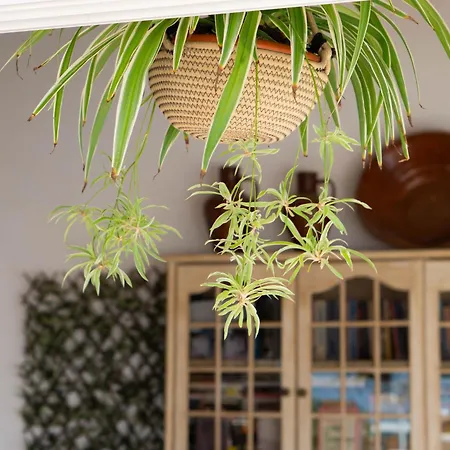 Varandas Do Vale Furnazinhas 4*